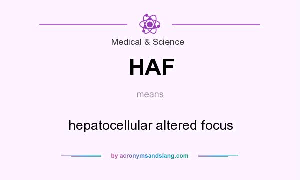 What does HAF mean? It stands for hepatocellular altered focus