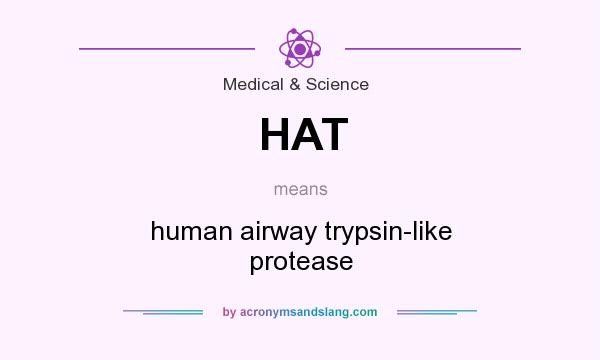 What does HAT mean? It stands for human airway trypsin-like protease
