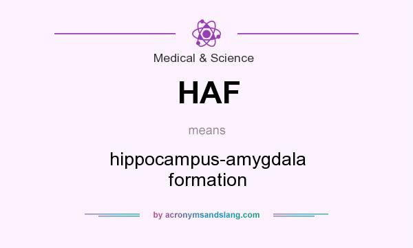 What does HAF mean? It stands for hippocampus-amygdala formation