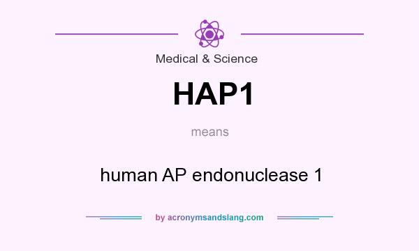 What does HAP1 mean? It stands for human AP endonuclease 1