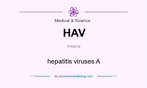 What does HAV mean? It stands for hepatitis viruses A