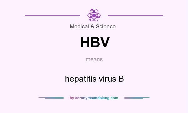 What does HBV mean? It stands for hepatitis virus B