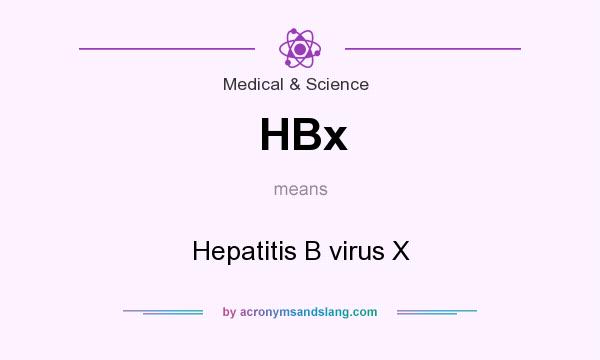 What does HBx mean? It stands for Hepatitis B virus X