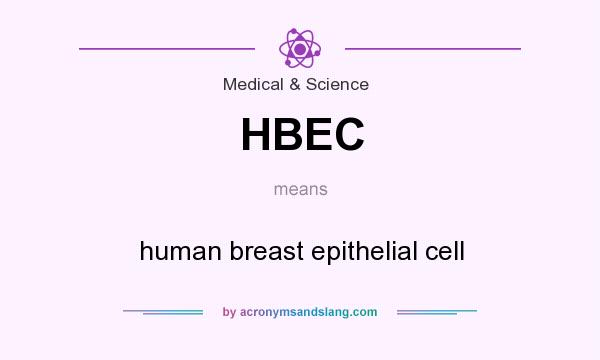 What does HBEC mean? It stands for human breast epithelial cell