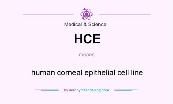 What does HCE mean? It stands for human corneal epithelial cell line