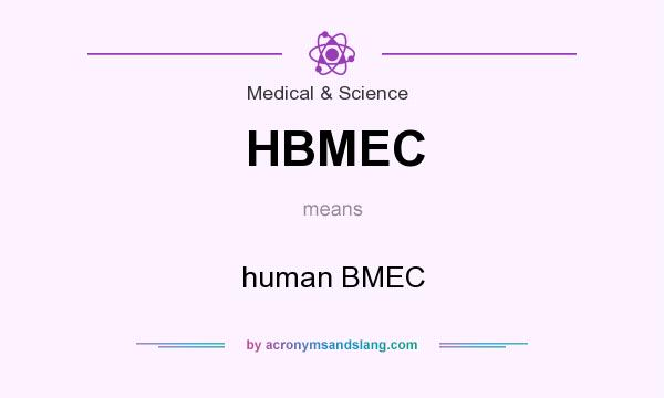What does HBMEC mean? It stands for human BMEC