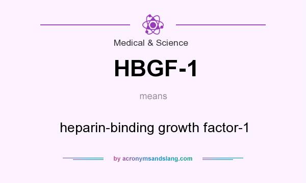 What does HBGF-1 mean? It stands for heparin-binding growth factor-1