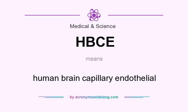 What does HBCE mean? It stands for human brain capillary endothelial