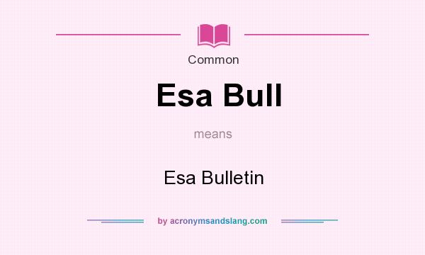 What does Esa Bull mean? It stands for Esa Bulletin