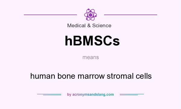 What does hBMSCs mean? It stands for human bone marrow stromal cells