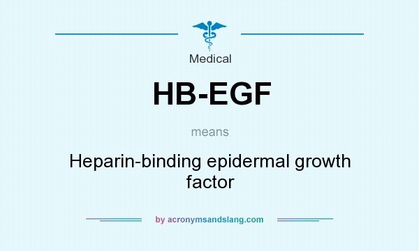 What does HB-EGF mean? It stands for Heparin-binding epidermal growth factor