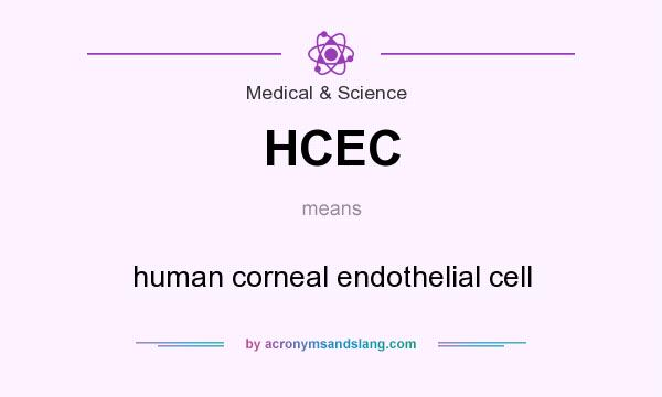 What does HCEC mean? It stands for human corneal endothelial cell