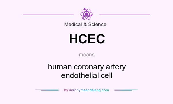 What does HCEC mean? It stands for human coronary artery endothelial cell