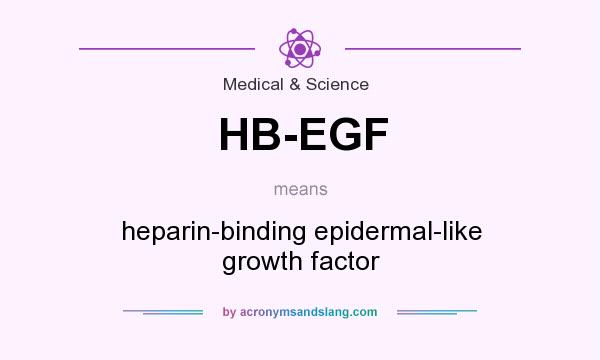 What does HB-EGF mean? It stands for heparin-binding epidermal-like growth factor