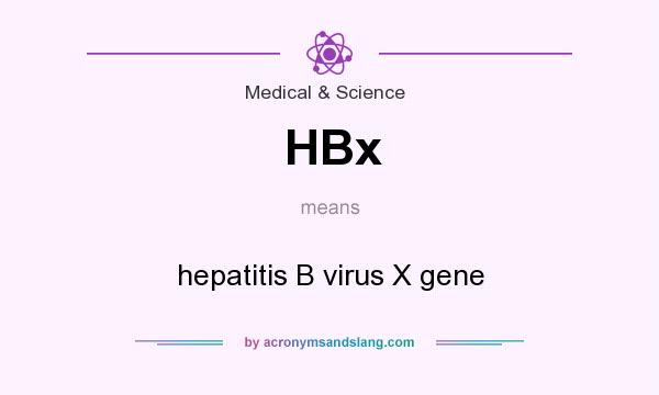 What does HBx mean? It stands for hepatitis B virus X gene