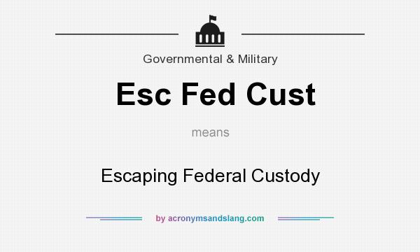 What does Esc Fed Cust mean? It stands for Escaping Federal Custody