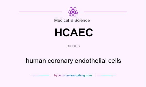 What does HCAEC mean? It stands for human coronary endothelial cells