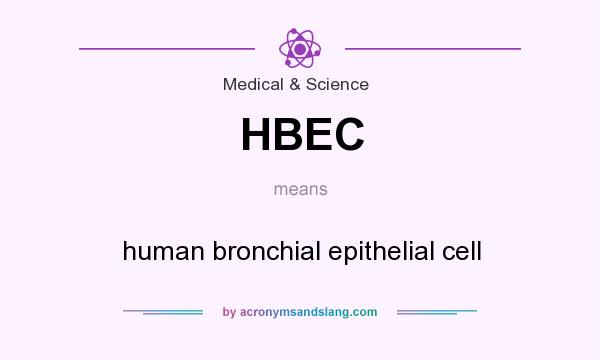What does HBEC mean? It stands for human bronchial epithelial cell
