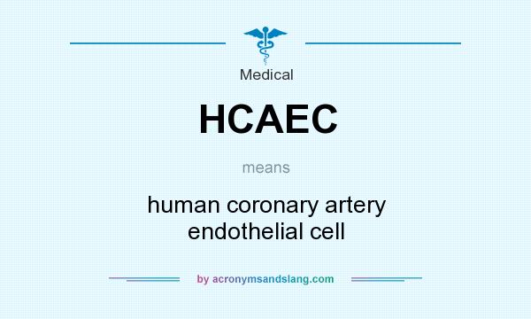 What does HCAEC mean? It stands for human coronary artery endothelial cell