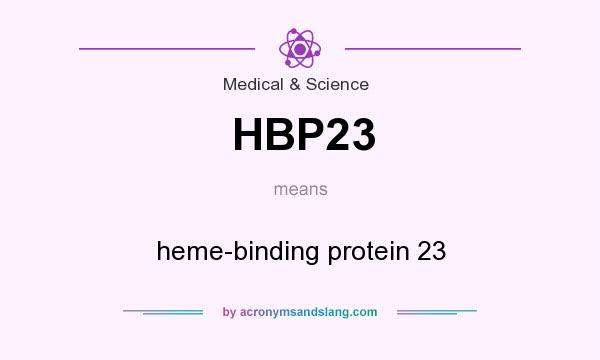 What does HBP23 mean? It stands for heme-binding protein 23