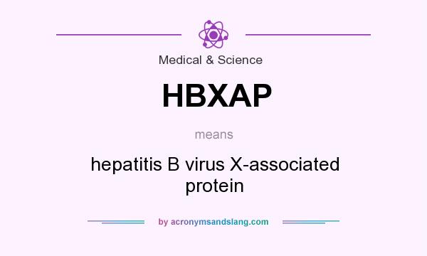 What does HBXAP mean? It stands for hepatitis B virus X-associated protein