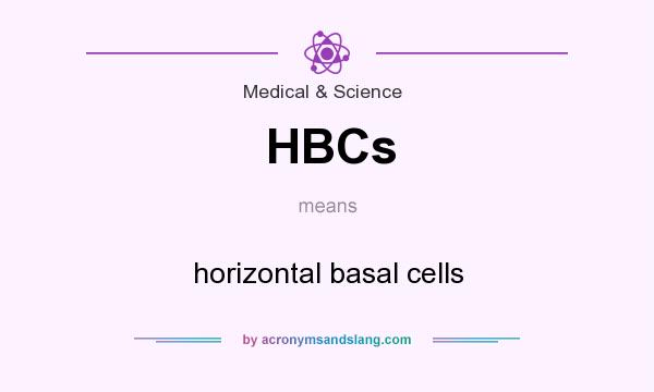 What does HBCs mean? It stands for horizontal basal cells