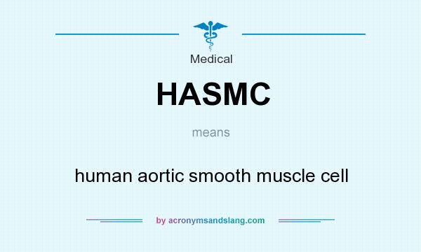 What does HASMC mean? It stands for human aortic smooth muscle cell