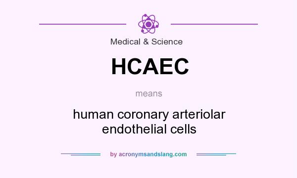 What does HCAEC mean? It stands for human coronary arteriolar endothelial cells