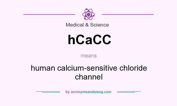 What does hCaCC mean? It stands for human calcium-sensitive chloride channel