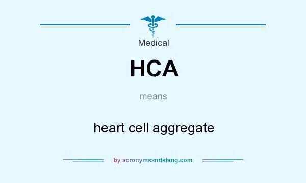 What does HCA mean? It stands for heart cell aggregate