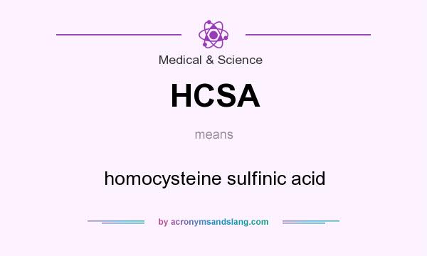 What does HCSA mean? It stands for homocysteine sulfinic acid