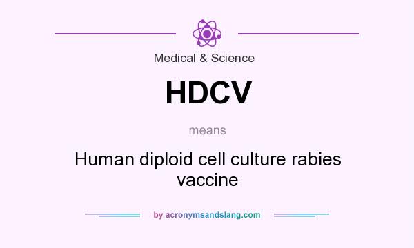 What does HDCV mean? It stands for Human diploid cell culture rabies vaccine