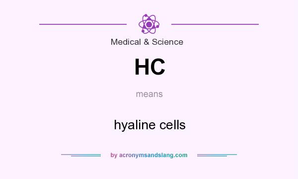 What does HC mean? It stands for hyaline cells