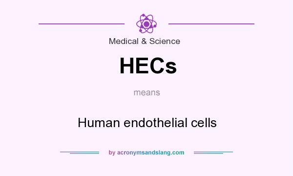 What does HECs mean? It stands for Human endothelial cells