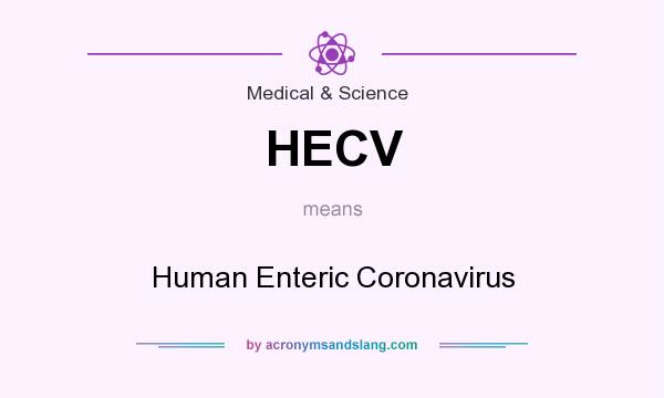 What does HECV mean? It stands for Human Enteric Coronavirus