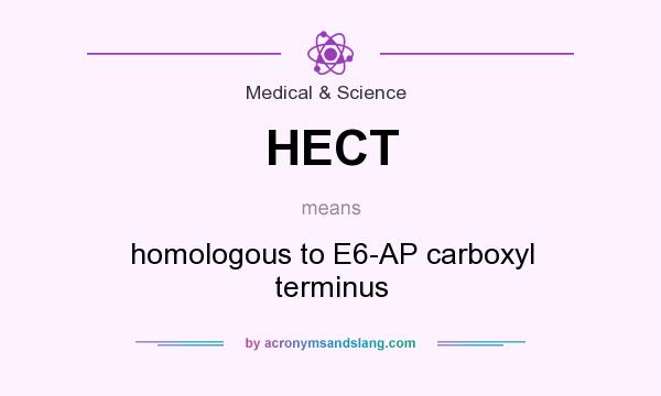 What does HECT mean? It stands for homologous to E6-AP carboxyl terminus
