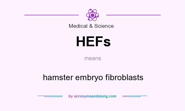 What does HEFs mean? It stands for hamster embryo fibroblasts