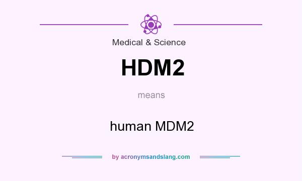 What does HDM2 mean? It stands for human MDM2