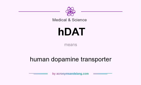 What does hDAT mean? It stands for human dopamine transporter