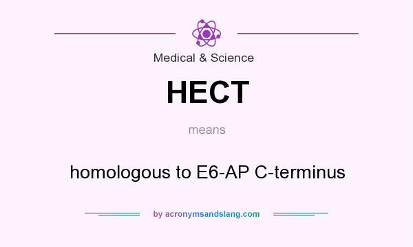 What does HECT mean? It stands for homologous to E6-AP C-terminus