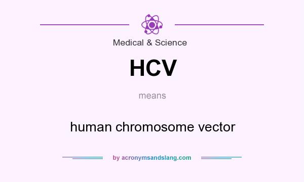 What does HCV mean? It stands for human chromosome vector