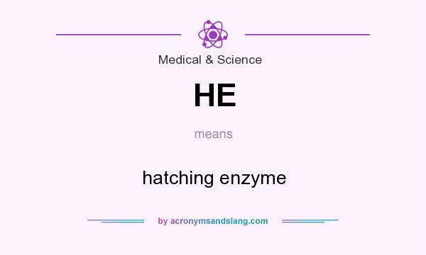What does HE mean? It stands for hatching enzyme
