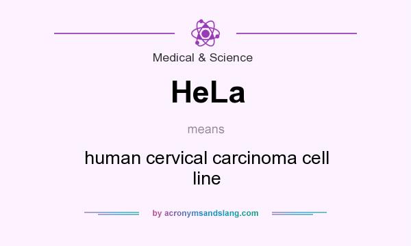 What does HeLa mean? It stands for human cervical carcinoma cell line