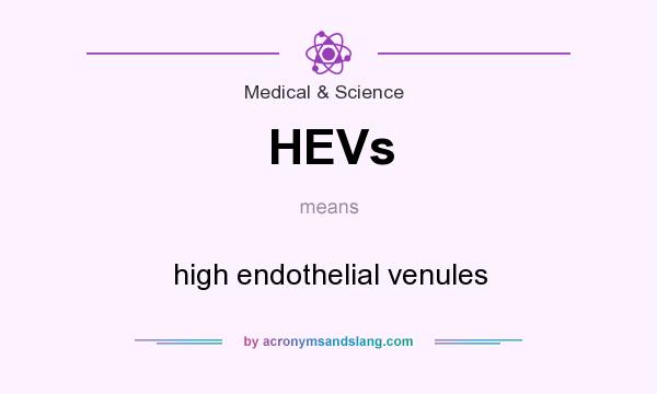 What does HEVs mean? It stands for high endothelial venules
