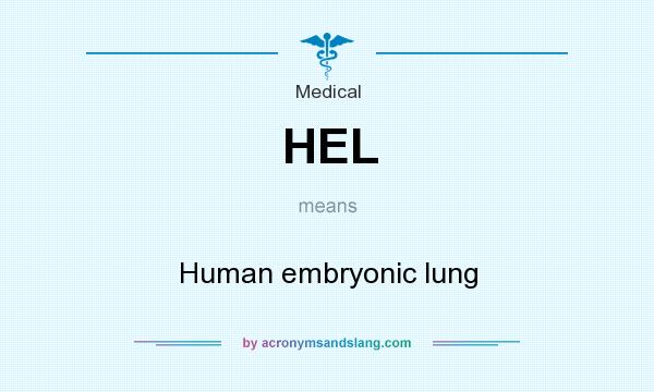 What does HEL mean? It stands for Human embryonic lung