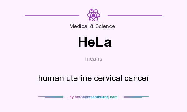 What does HeLa mean? It stands for human uterine cervical cancer