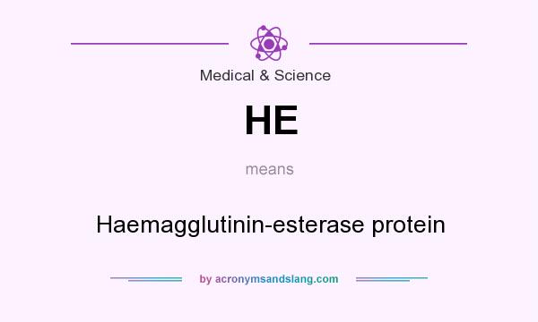 What does HE mean? It stands for Haemagglutinin-esterase protein