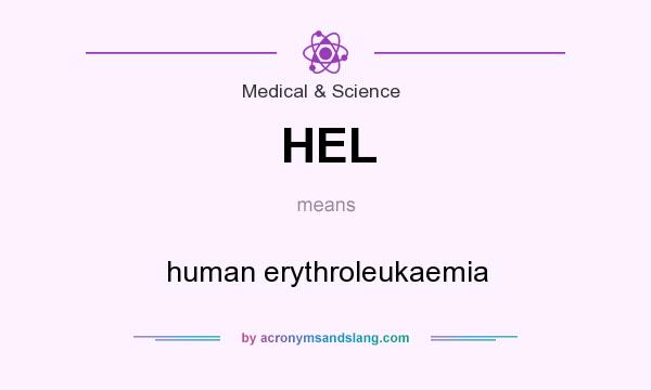 What does HEL mean? It stands for human erythroleukaemia