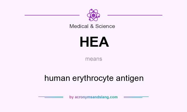 What does HEA mean? It stands for human erythrocyte antigen
