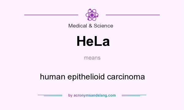 What does HeLa mean? It stands for human epithelioid carcinoma